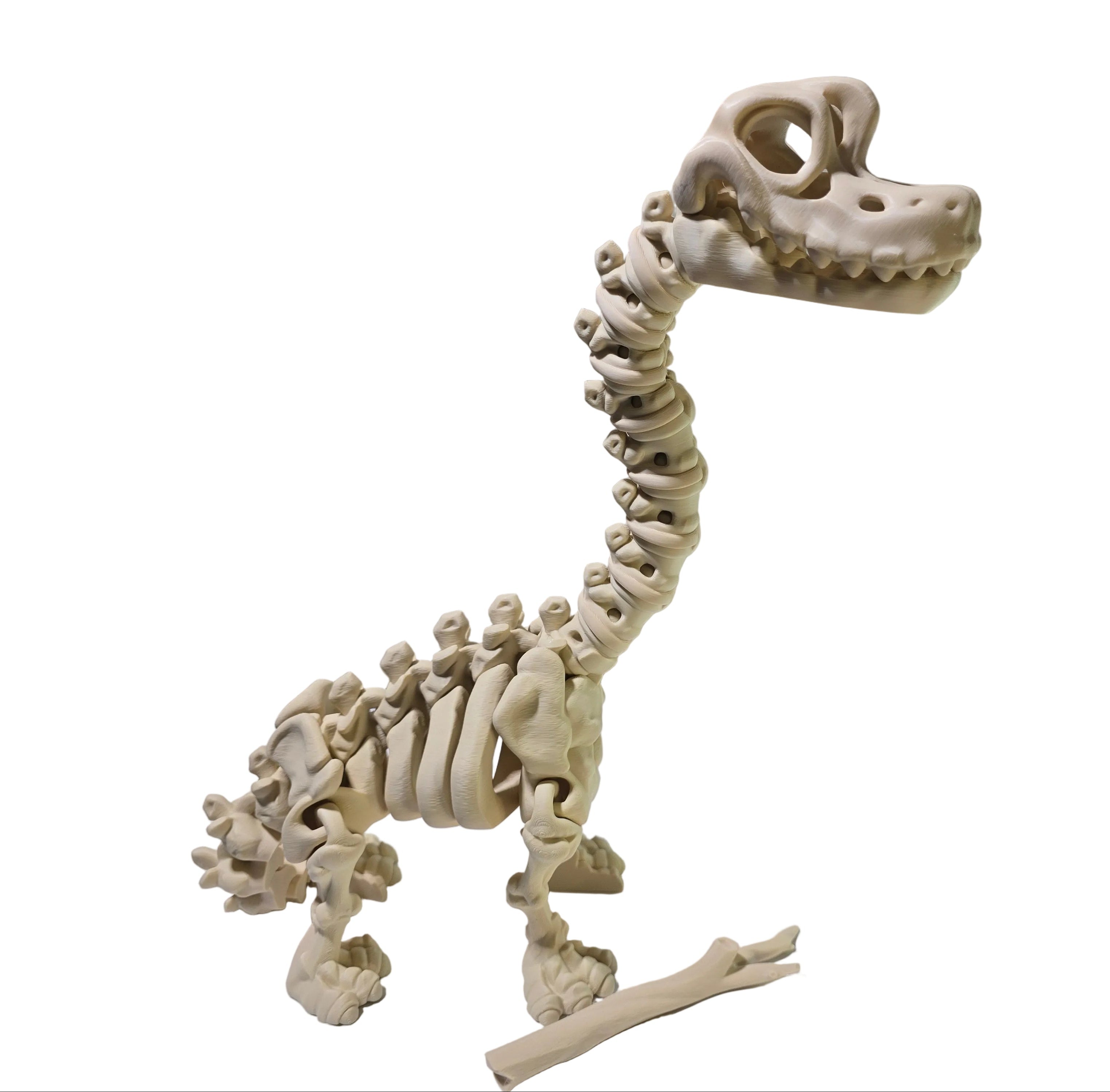 3D Printed Skeleton Brachiosaurus
