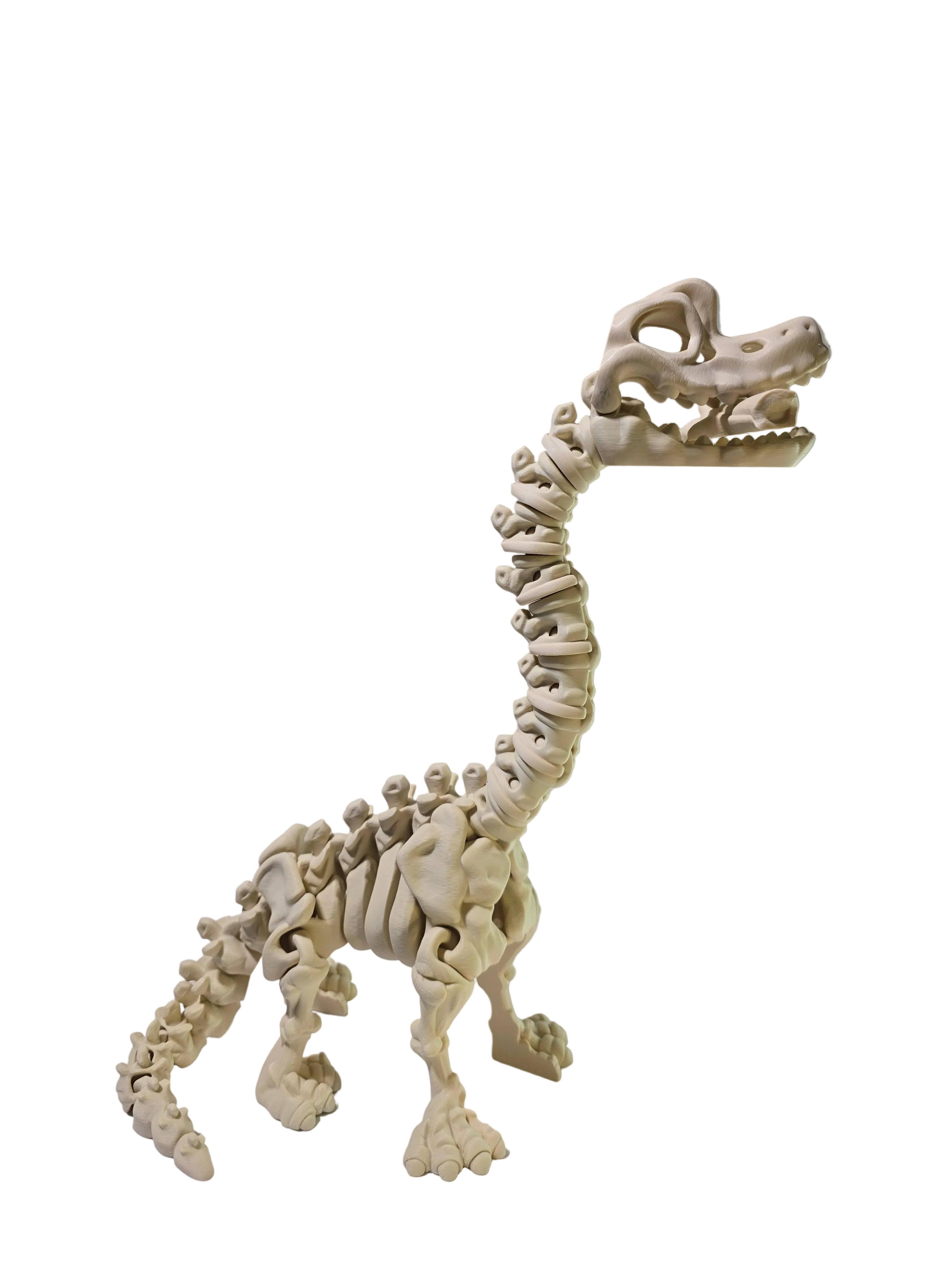 3D Printed Skeleton Brachiosaurus