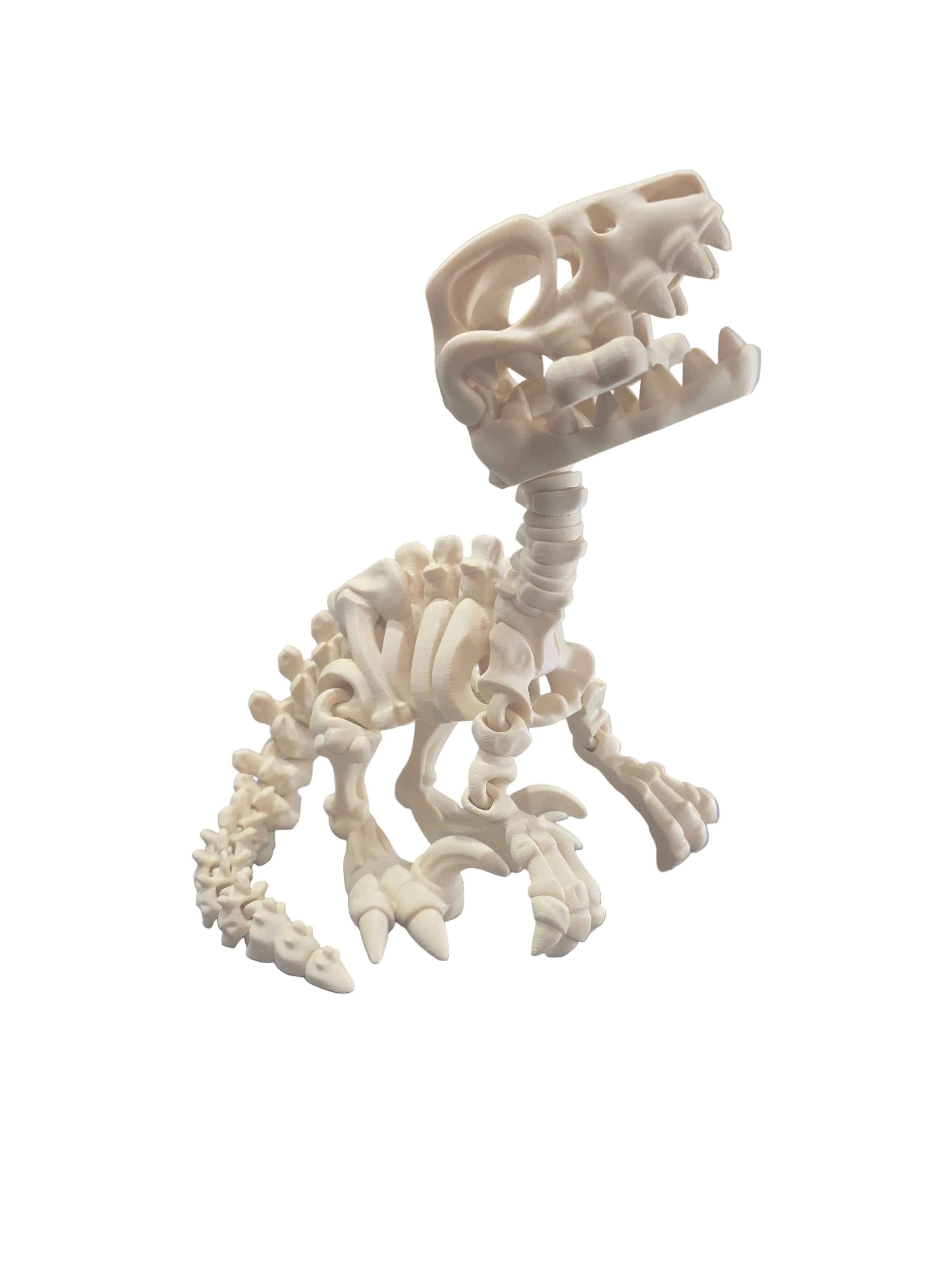3D Printed Skeleton Velociraptor